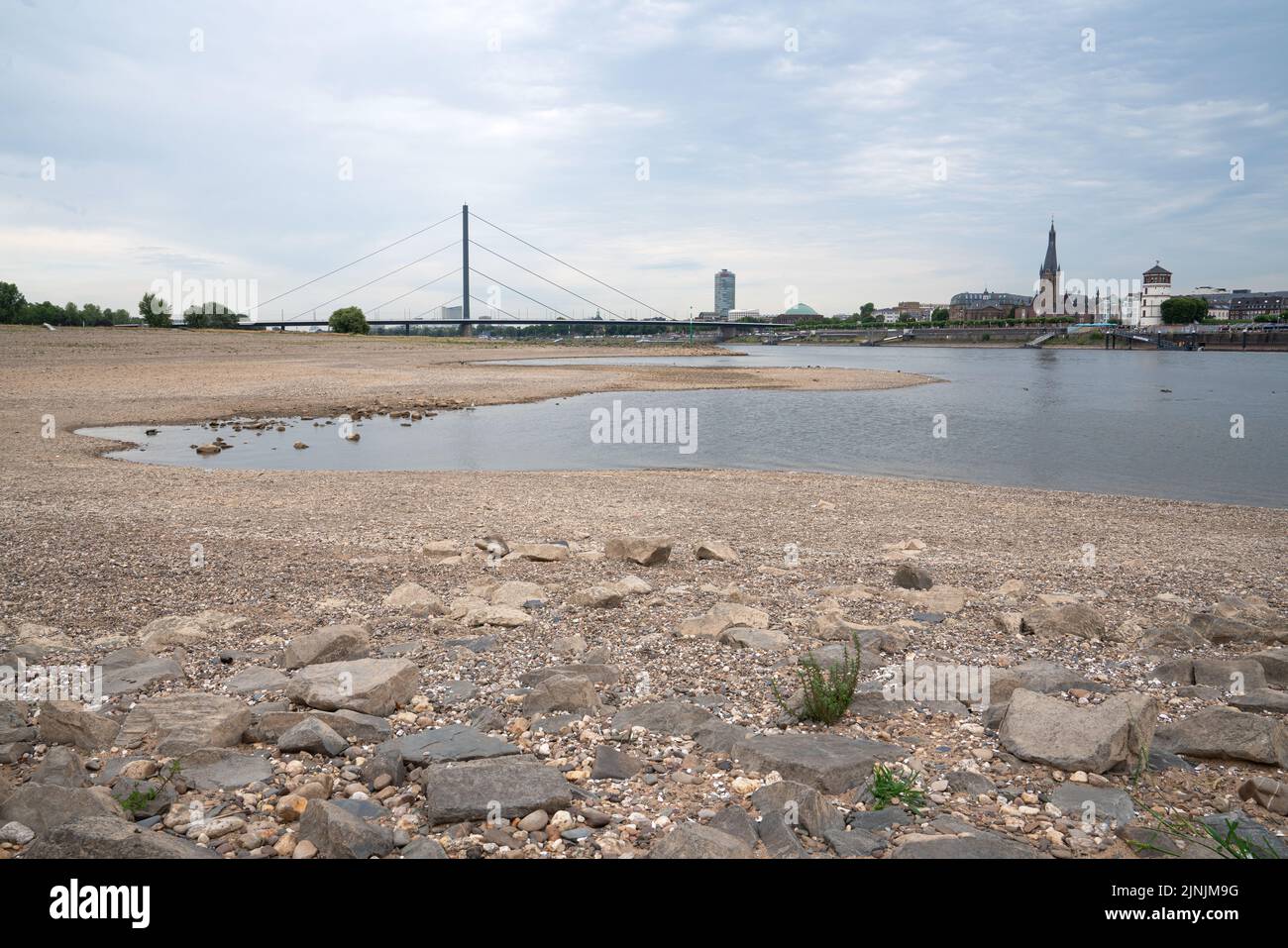 Dürre in Deutschland, Niedrigwasser am Rhein bei Düsseldorf Stockfoto