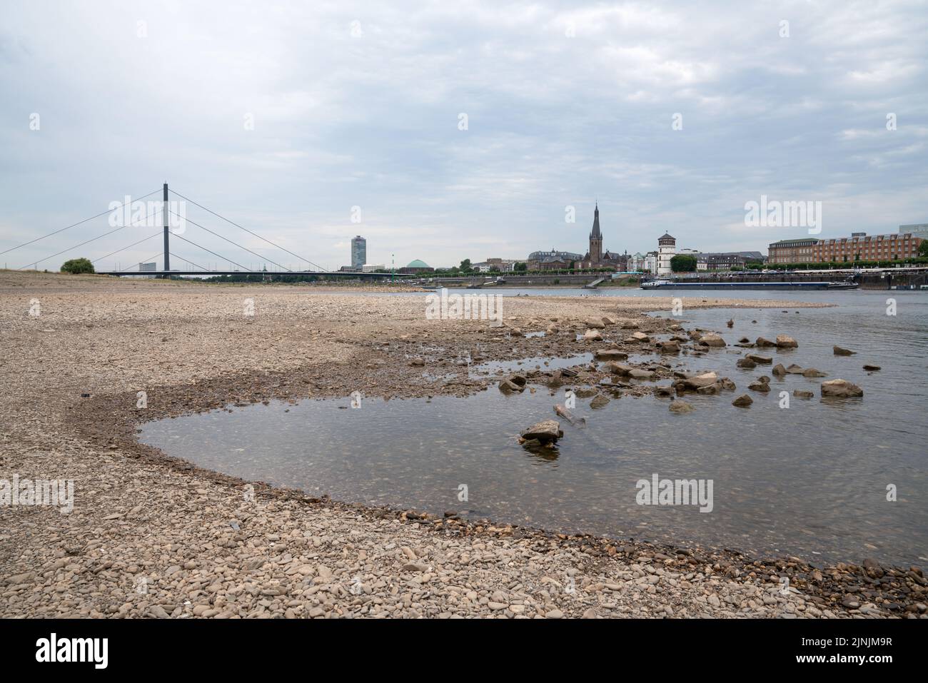 Dürre in Deutschland, Niedrigwasser am Rhein bei Düsseldorf Stockfoto