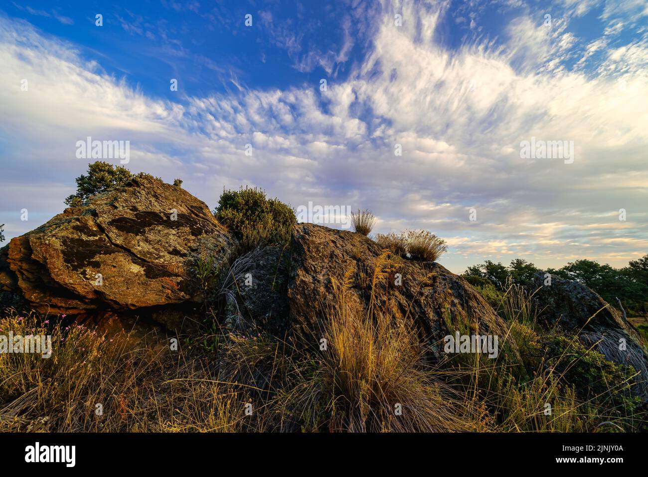 Wolkenlandschaft über Felsen und Pflanzen im Feld. Stockfoto