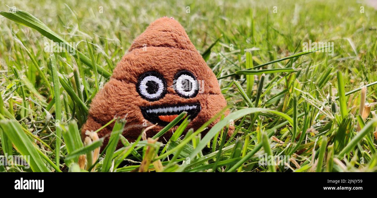 Eine Nahaufnahme von Poo Emoticon auf frisch geschnittenem Gras Stockfoto