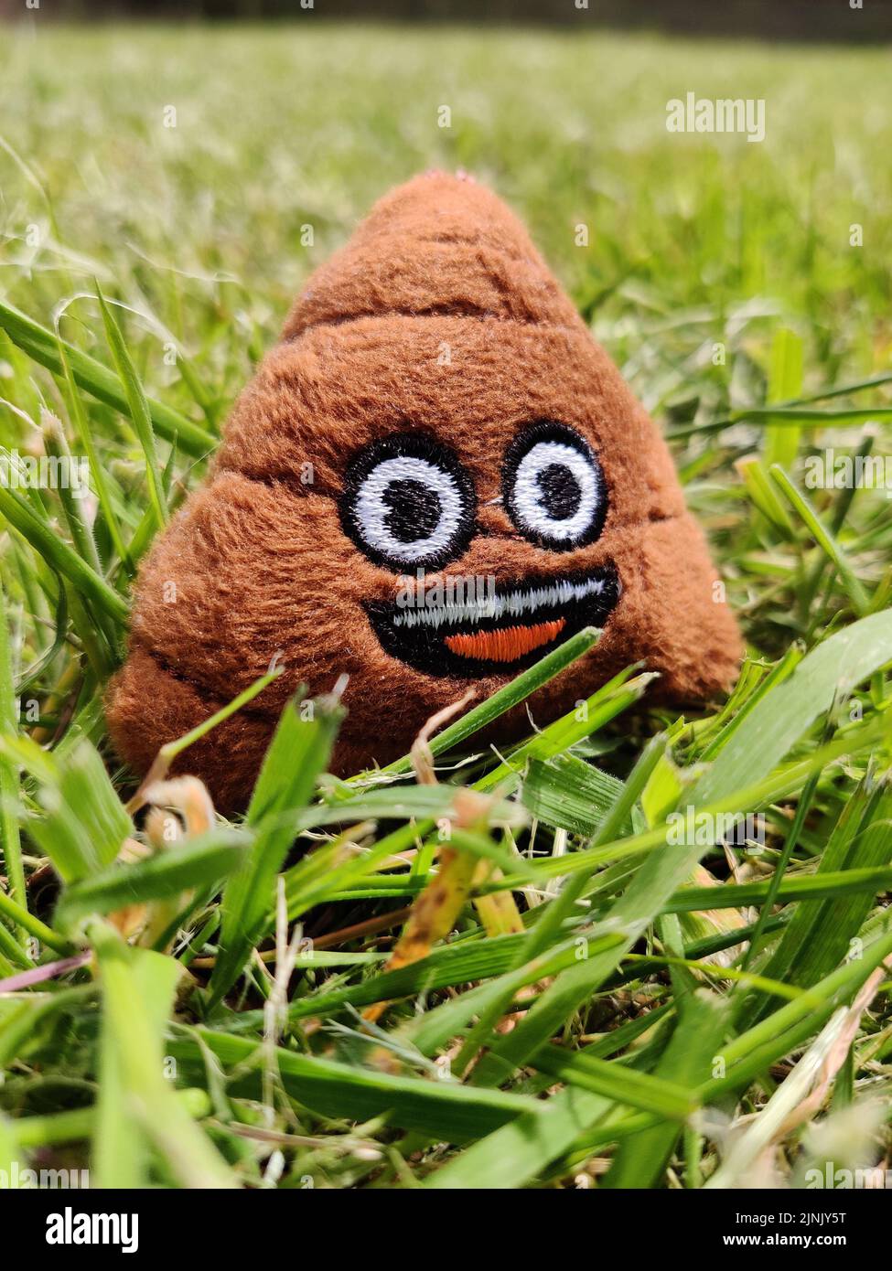 Eine Nahaufnahme von Poo Emoticon auf frisch geschnittenem Gras Stockfoto