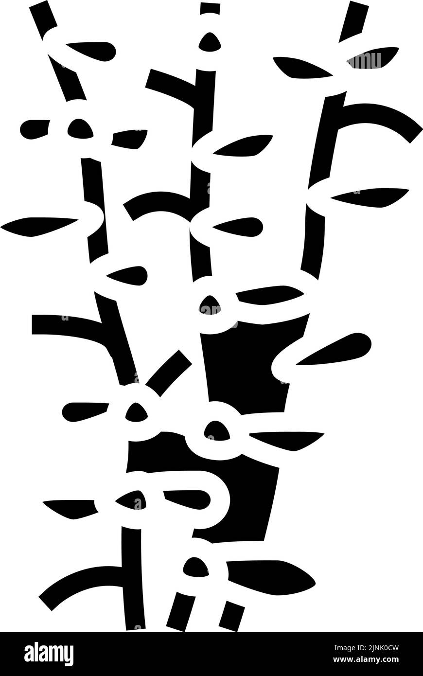 Abbildung des Symbols für das Symbol für den Vektor der Algenglyphe von Moneywort Stock Vektor