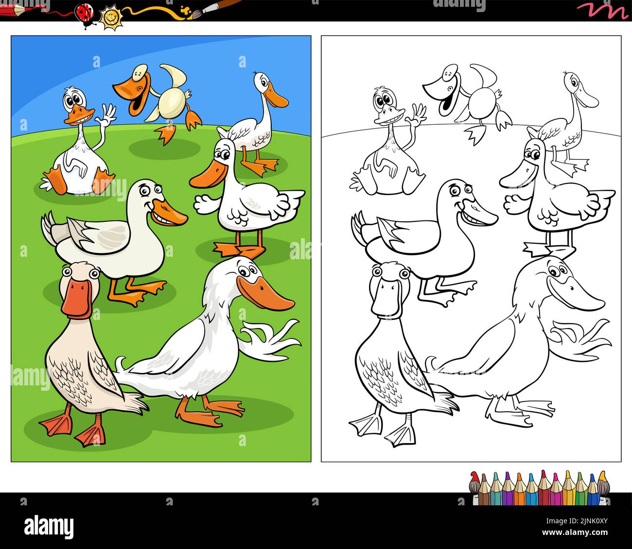 Cartoon Illustration von Enten Vögel Bauernhof Tier Zeichen Malvorlagen Stock Vektor