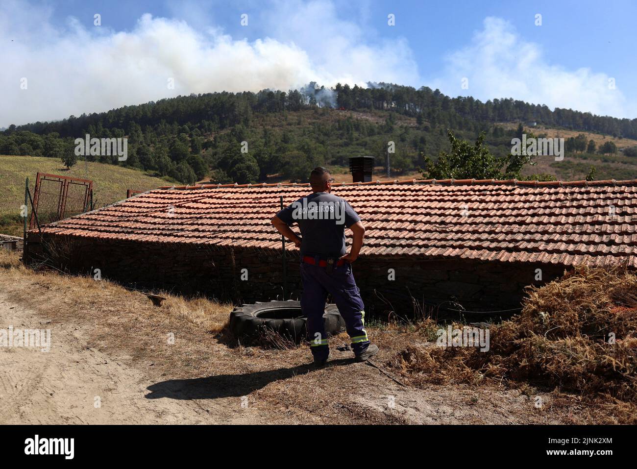 Ein Feuerwehrmann beobachtet einen Waldbrand in Videmonte, Celorico da Beira, Portugal, 12. August 2022. REUTERS/Pedro Nunes Stockfoto