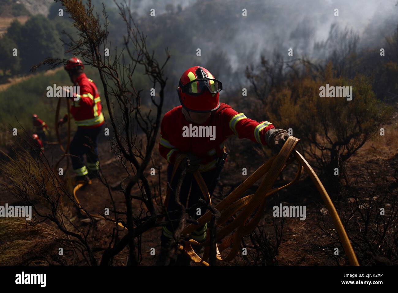 Feuerwehrleute arbeiten nach einem Waldbrand in Videmonte, Celorico da Beira, Portugal, 12. August 2022. REUTERS/Pedro Nunes Stockfoto