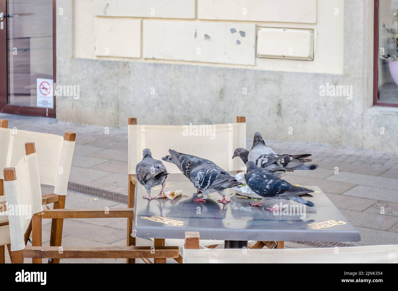 Pecs, Ungarn - 06. Oktober 2018: Tauben auf dem Tisch Restaurants in Pecs Stockfoto