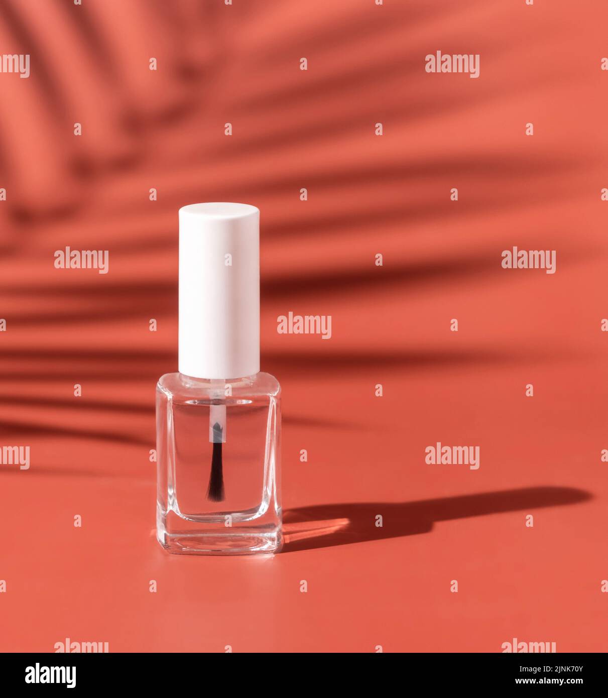 Nachfüllbare Flasche aus klarem Glas mit Bürstendeckel auf rosa, Palmblatt-hartem Schatten, Nahaufnahme, Nachbildung. Hautpflege oder Nagelprodukt. Naturkosmetik, minimal c Stockfoto