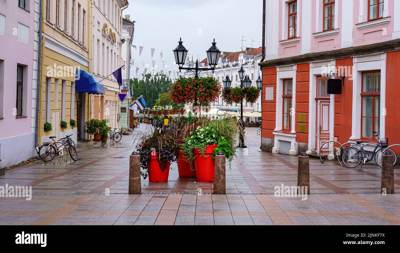 Straße mit Pflanzen und Blumen neben dem Hauptplatz von Tartu in Estland. Stockfoto