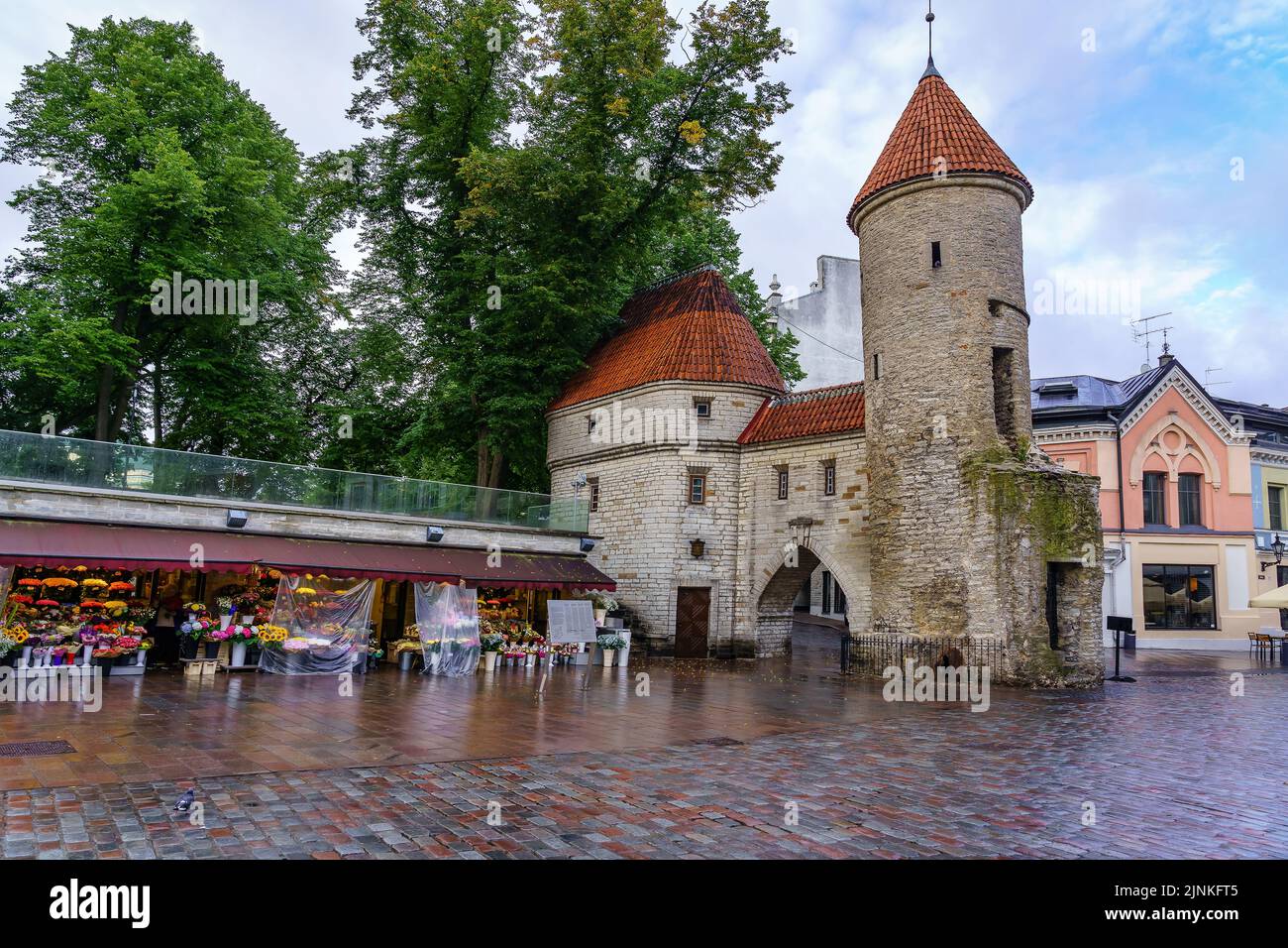 Eintritt in die mittelalterliche Stadt Tallinn Estland mit ihrem Verteidigungsturm und Blumenständen. Stockfoto