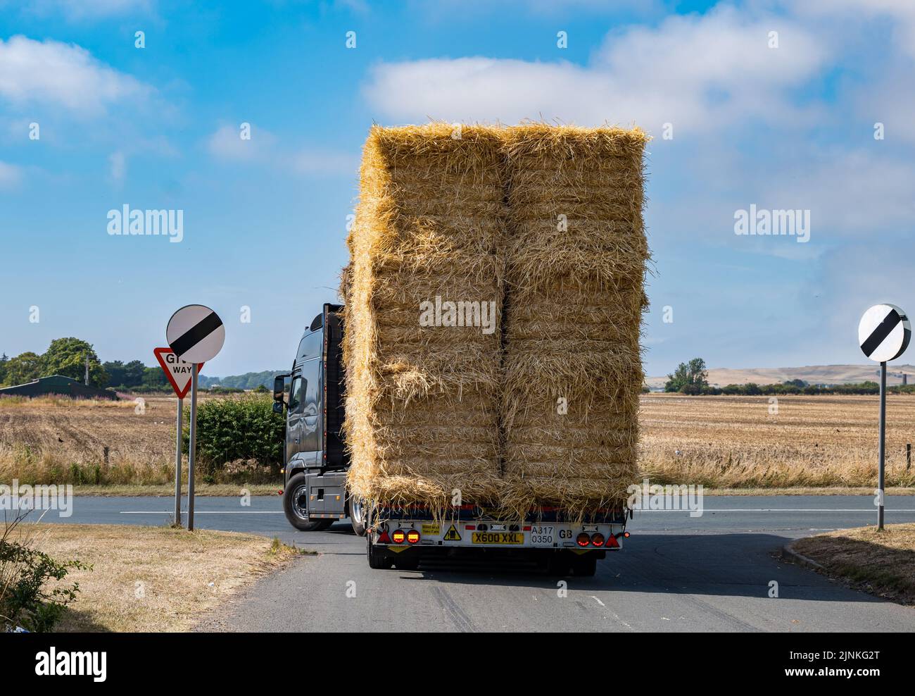 East Lothian, Schottland, Großbritannien, 12.. August 2022. Eine riesige LKW-Ladung Heuballen wird von einem Lastwagen transportiert, der an einer Straßenkreuzung auf dem Land abbiege Stockfoto