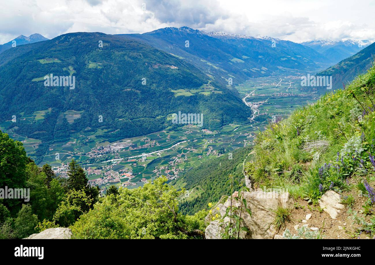 Ein Wanderweg mit Blick auf das Alpental der Stadt Meran, umgeben von den Texelgruppen (Ötztaler Alpen in Südtirol, Südtirol, Ita Stockfoto