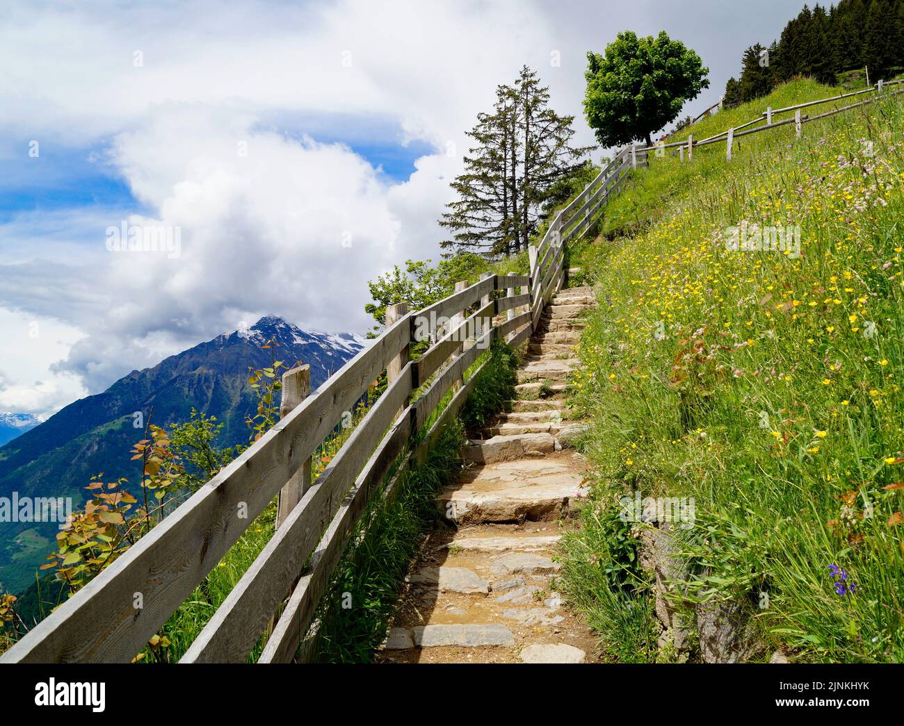 Ein Wanderweg mit Blick auf das Alpental der Stadt Meran, umgeben von den Texelgruppen (Südtirol, Italien) Stockfoto