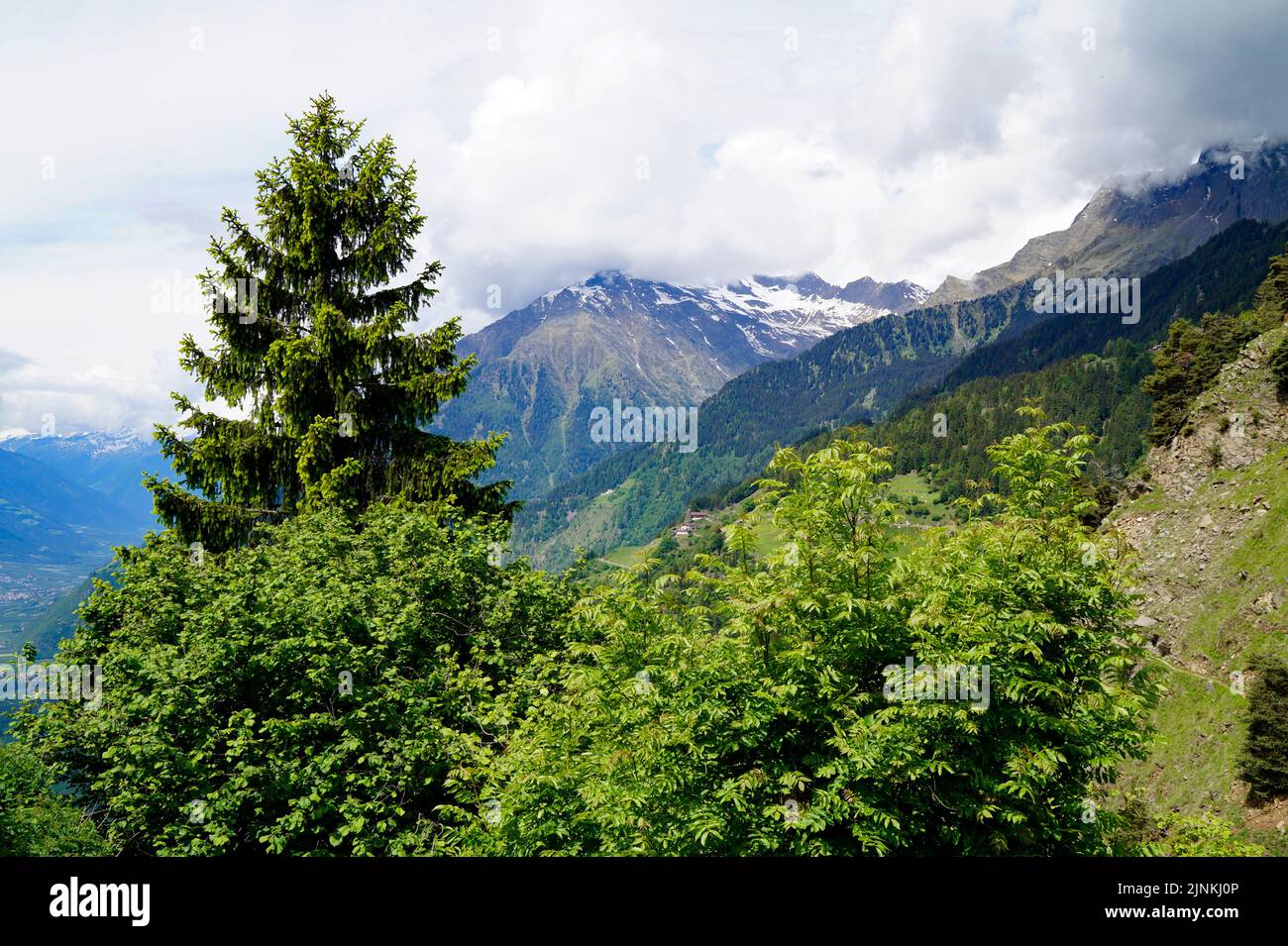 Ein Wanderweg mit Blick auf das Alpental der Stadt Meran, umgeben von den Texelgruppen (Südtirol, Italien) Stockfoto