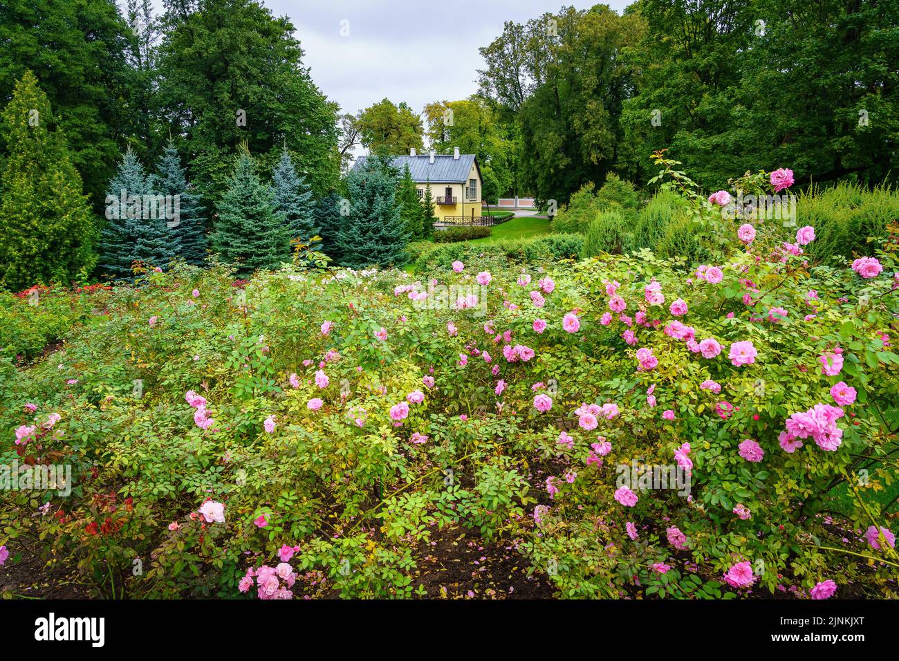 Garten voller bunten Blumen und ein kleines Haus in der Mitte des Bildes. Stockfoto