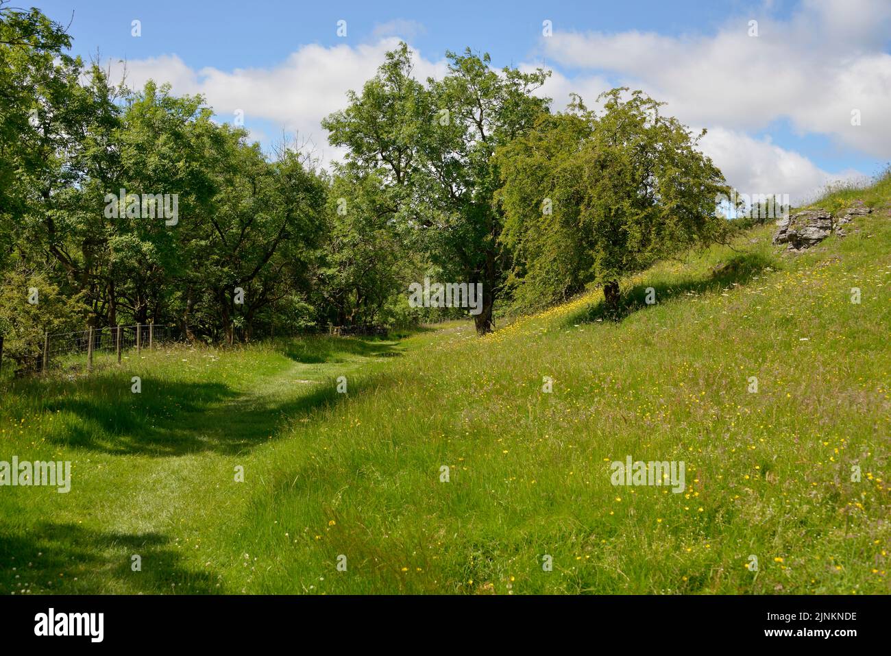 Blick über Scar House auf dem Weg zwischen Cray und Yockenthwaite, Wharfedale, Norh Yorkshire Stockfoto