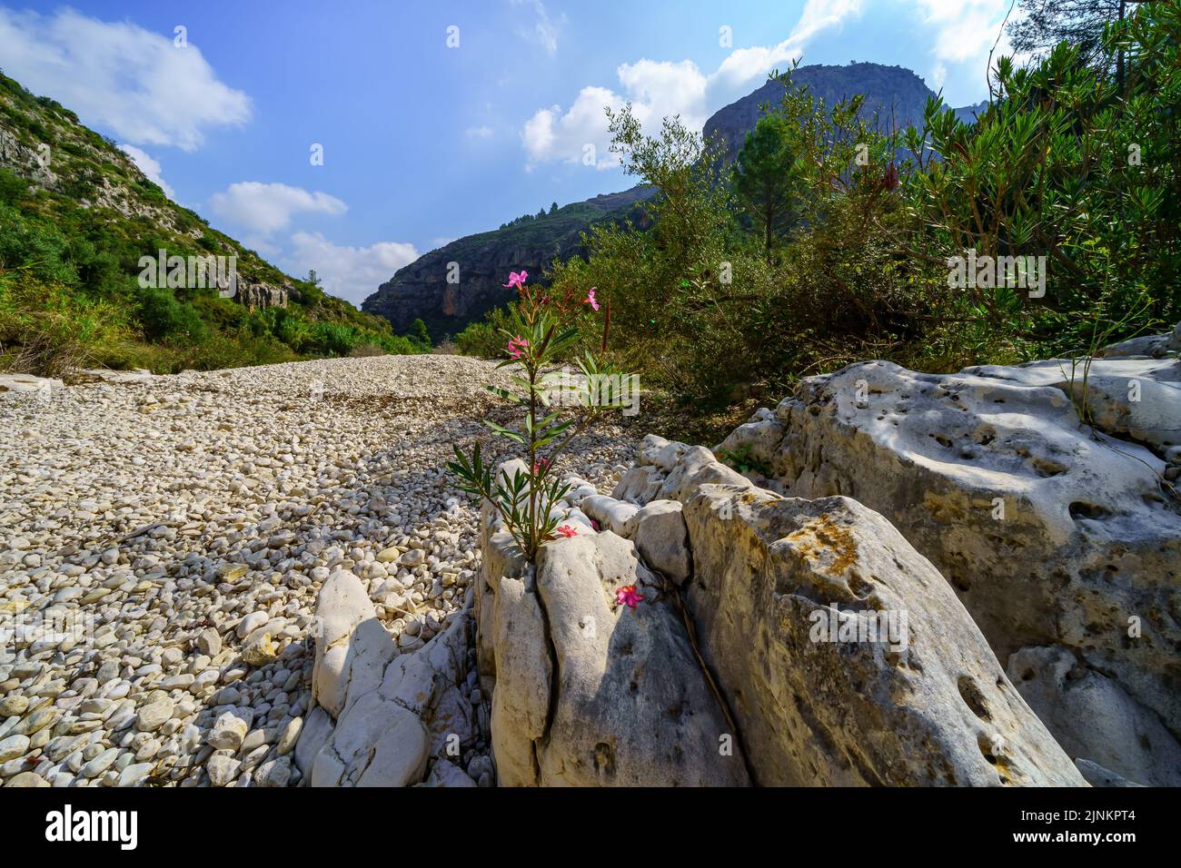 Trockenes Flussbett mit weißen Steinen und großen Felsen im Bergtal. Stockfoto