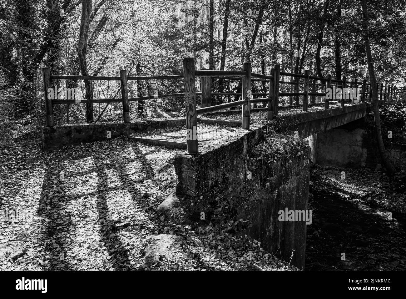 Herbstlandschaft im Wald mit einer Brücke über einen Fluss, schwarz-weiß. Stockfoto