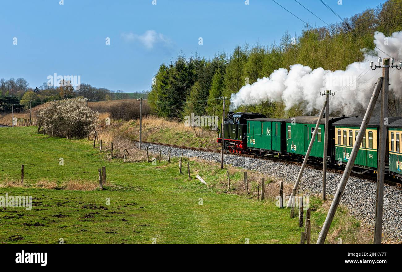 Dampflokomotive, rasender roland, rügensche bäderbahn, Dampflokomotiven Stockfoto