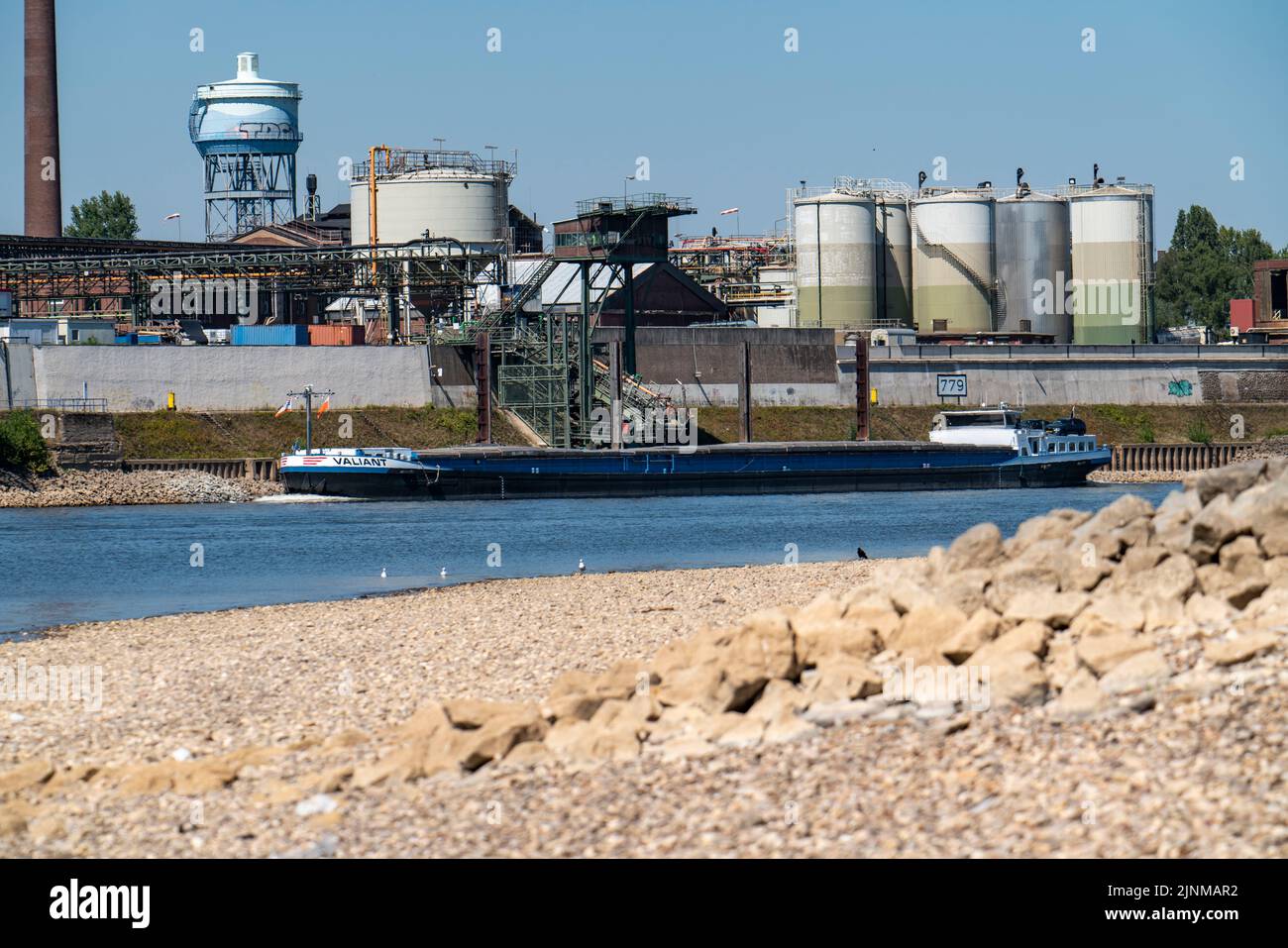 Rhein bei Duisburg, extrem niedriges Wasser, Rheinhöhe 168 cm, Tendenz fallend, nach langer Dürre das rechte Rheinufer, bei Duisburg-N Stockfoto