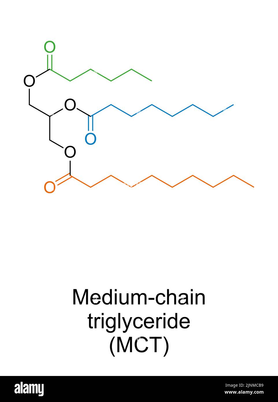 Mittelkettige Triglyceride, MCT, chemische Struktur. Beispiel mit 3 mittelkettigen Fettsäuren. Caproinsäure, grün, caprylic, blau, Capronsäure, Orange. Stockfoto