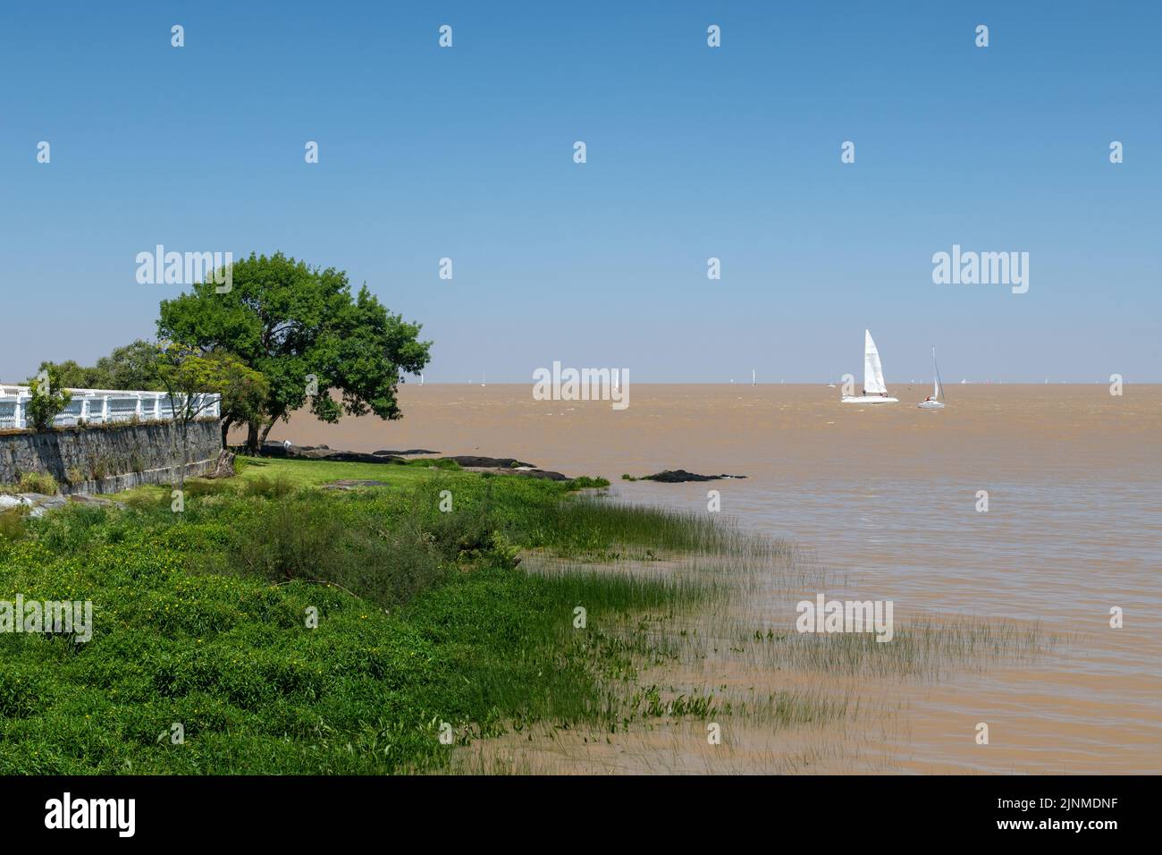 Segelboot im Fluss La Plata in Richtung Hafen Colonia del Sacramento in Colonia, Uruguay. Auf der linken Seite des Bildschirms sind einige Bäume zu sehen. Stockfoto