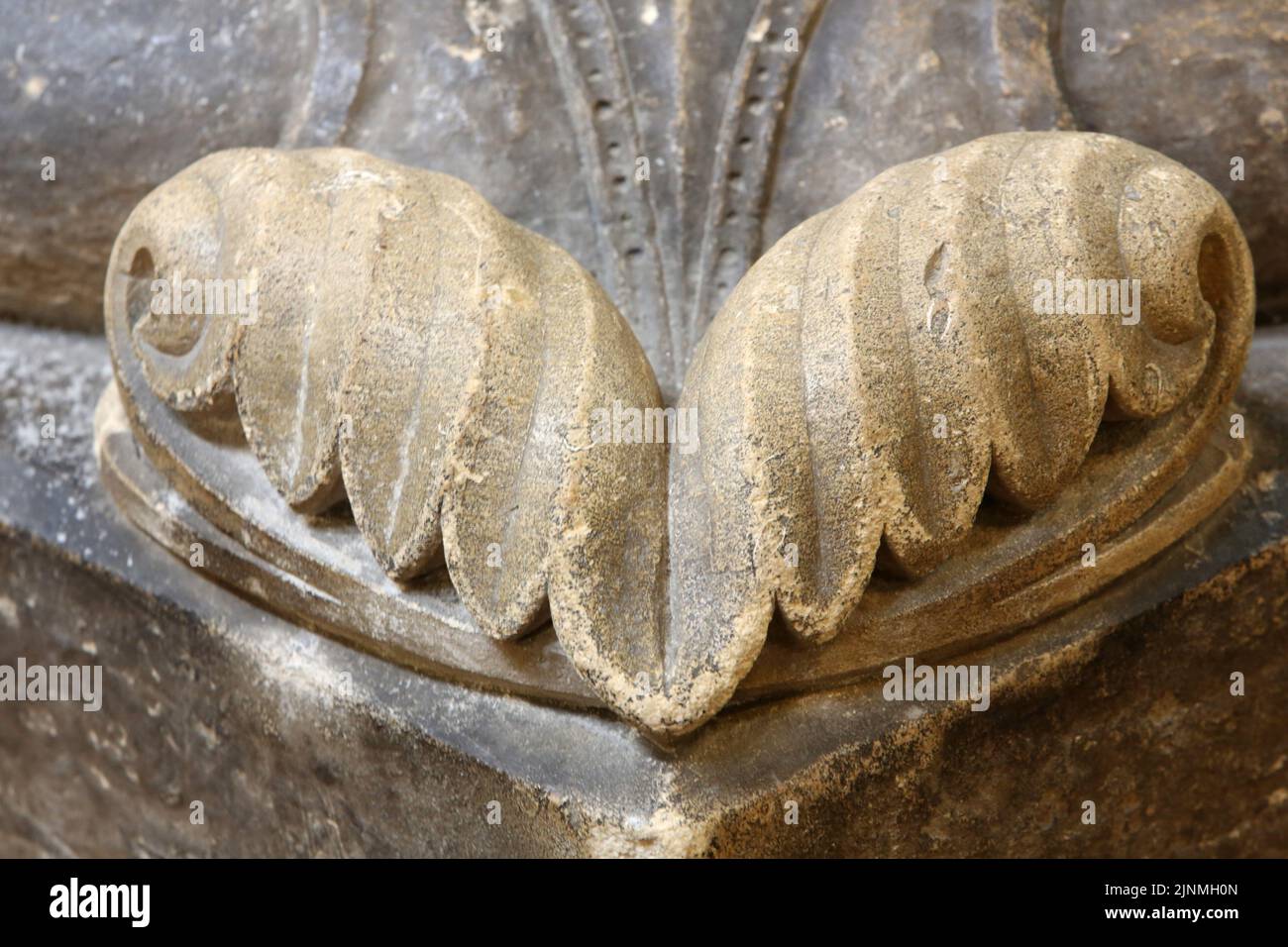 Coquillage en pierre au pied d'une colonne. Eglise Saint-Clodoald. Saint-Cloud. Ile-de-France. Frankreich. Europa. Stockfoto