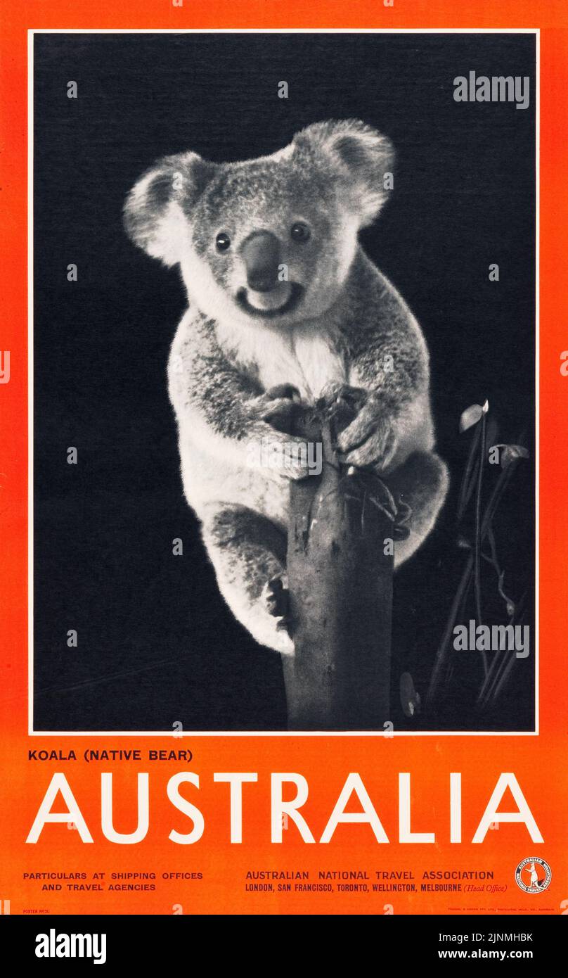 Australian Travel Poster (Australian National Travel Association, 1930s) feat. Ein Schwarz-Weiß-Foto eines Koala. Stockfoto