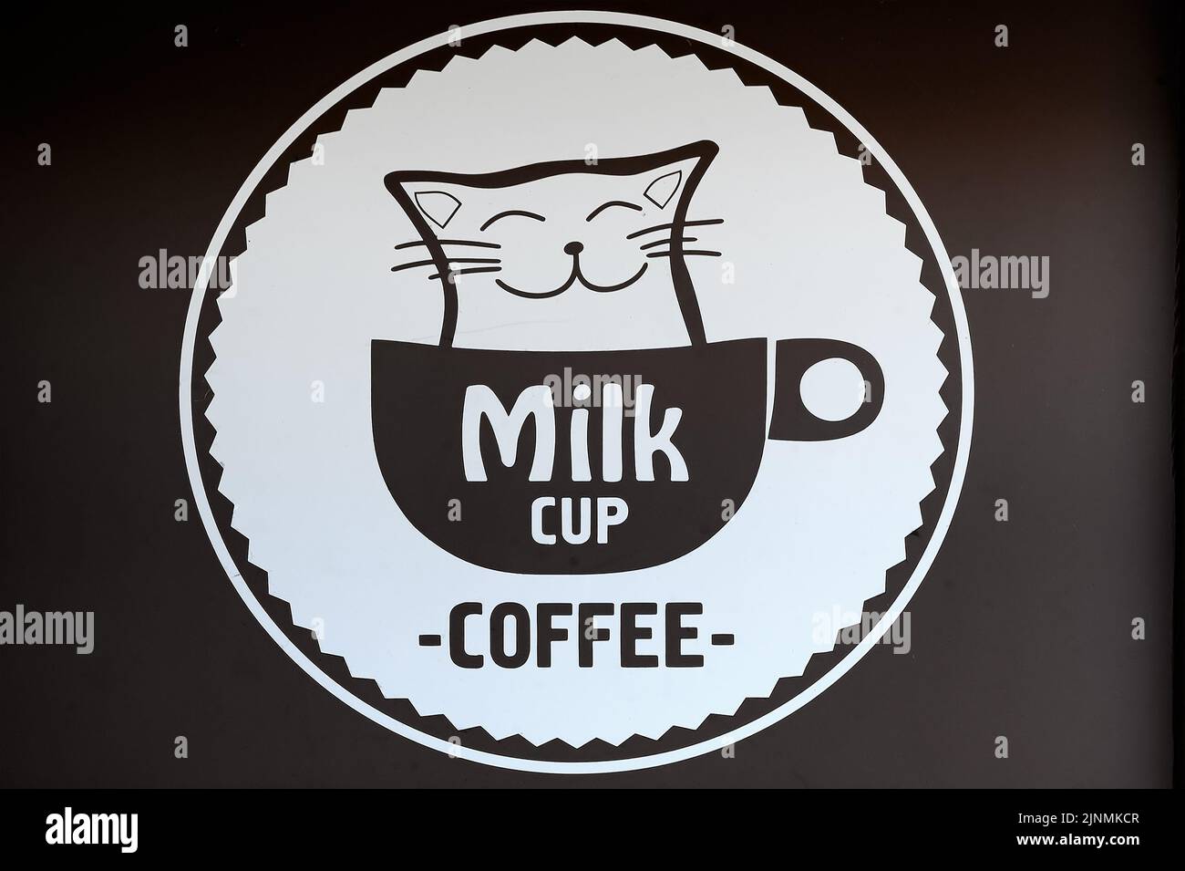 Die Katze in der Milchkaffeetasse Stockfoto