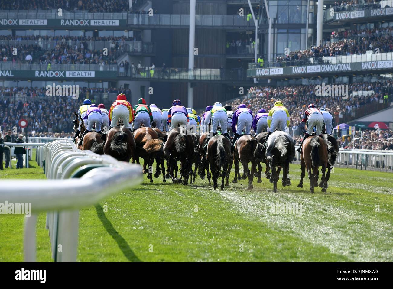 Grand National 2019 Stockfoto