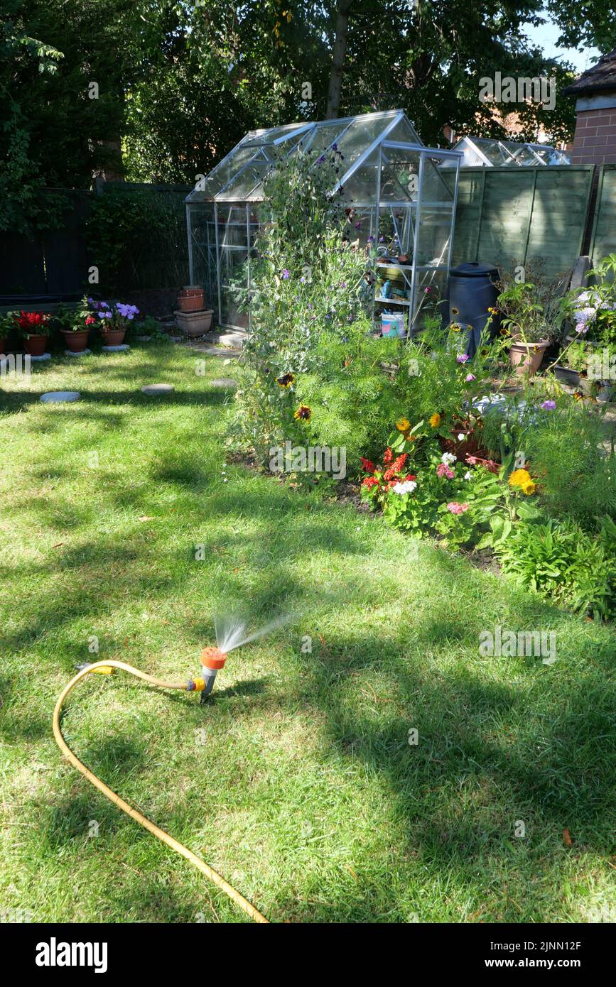 Nahaufnahme eines Gartenregners, der an einem sonnigen, heißen Sommertag einen englischen Garten bewässert Stockfoto
