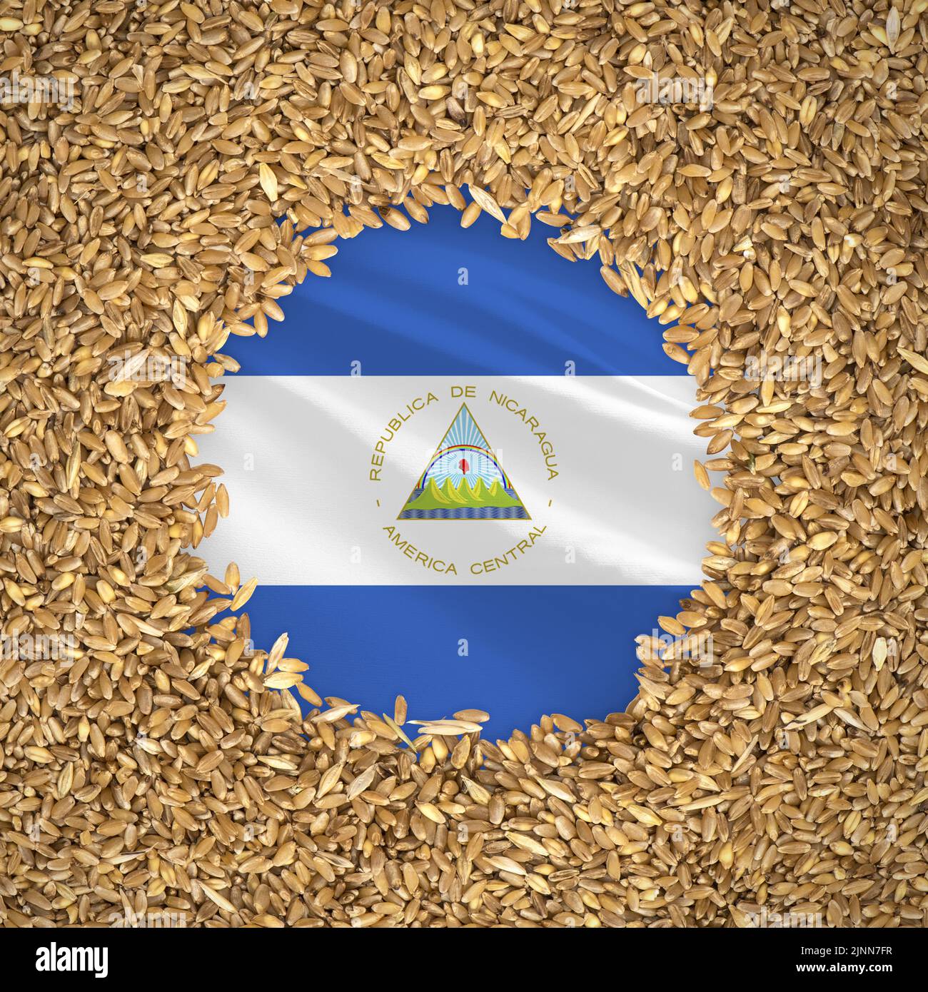 Flagge nicaraguas mit Weizenkörnern. Natürliches Vollkornkonzept mit Flagge nicaraguas Stockfoto