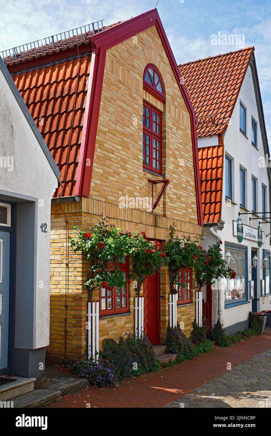 Häuserreihe, historische Fischersiedlung Holm, Schleswig, Schleswig-Holstein, Deutschland Stockfoto