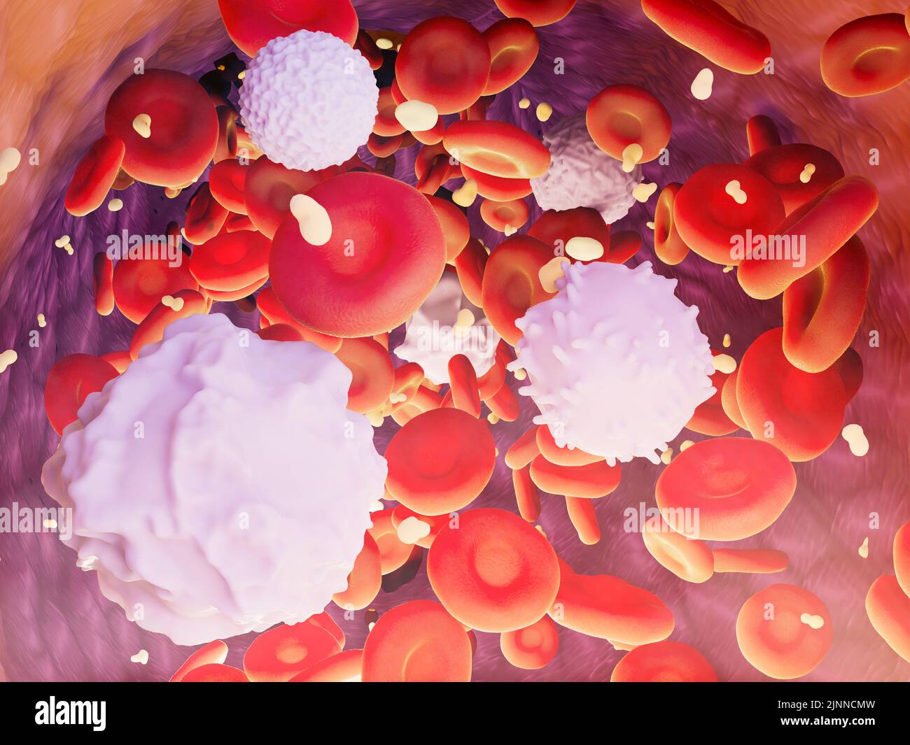 Blutzellen in einem Blutgefäß, Abbildung Stockfoto