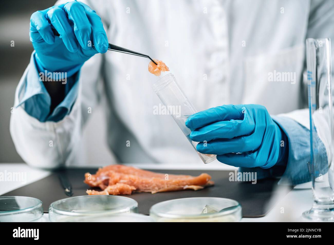 Qualitätsprüfer, der Geflügelproben entnommen hat Stockfoto