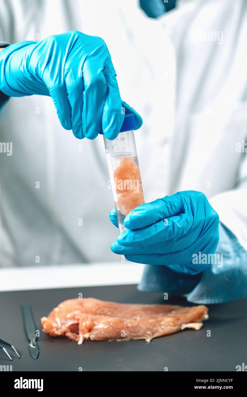 Qualitätsprüfer, der Geflügelproben entnommen hat Stockfoto