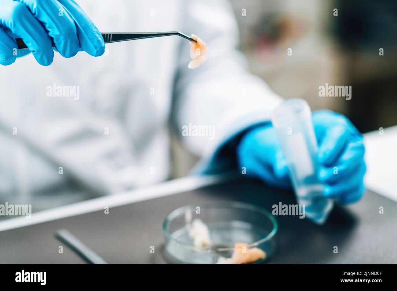 Qualitätskontrolle Inspektor Prüfung Fisch Stockfoto