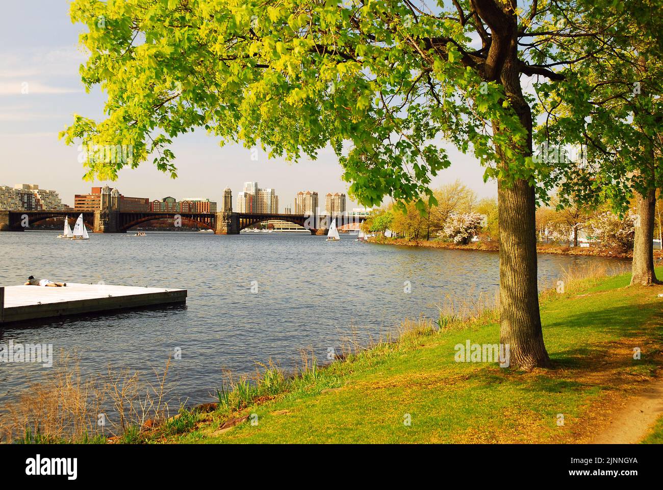 Die Charles River Esplanade in Boston beherbergt einen Park mit Wander- und Fahrradwegen, die einen Blick auf den Fluss und die Longfellow Bridge bieten Stockfoto