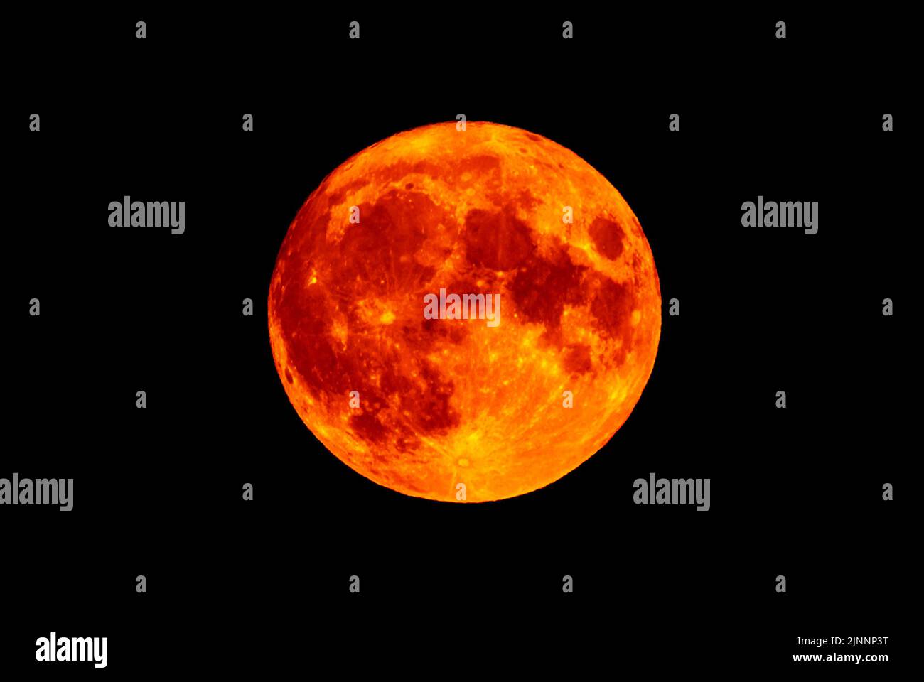 Vollmond, ein Sturgeon-Mond und Supermond (Super Moon), glühend tiefrot und orange direkt über dem Horizont am 11.. August 2022 aus Großbritannien mit schwarzem Himmel. Stockfoto