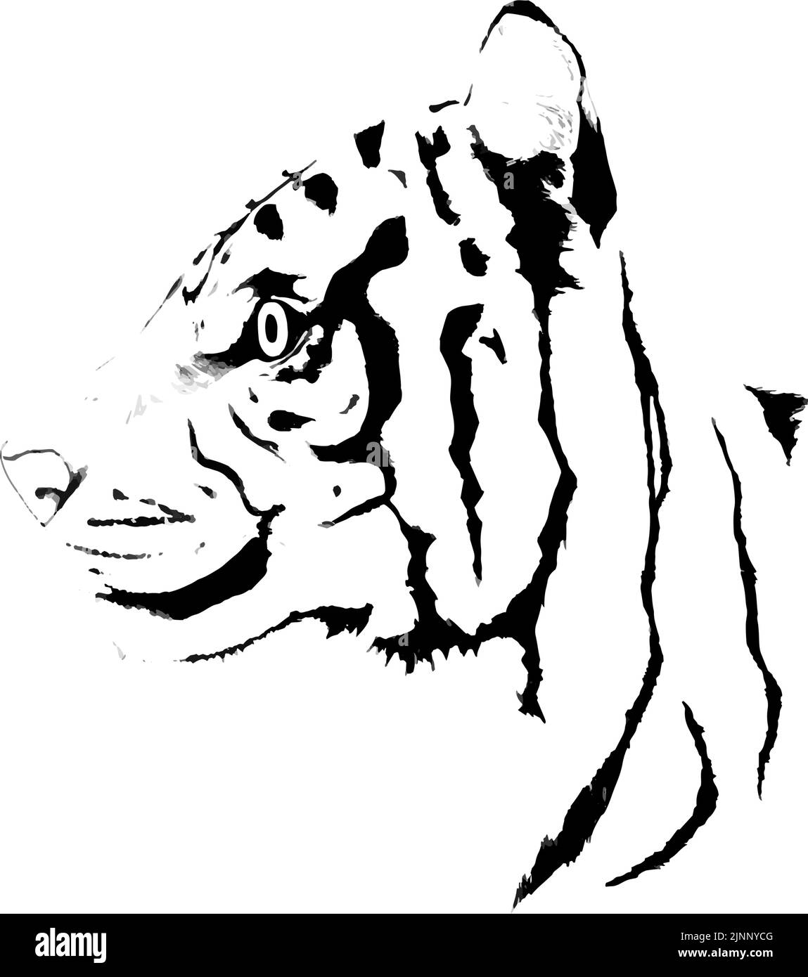 Linienzeichnung des Tiger-Profils, handgezeichnete realistische Note. Stock Vektor