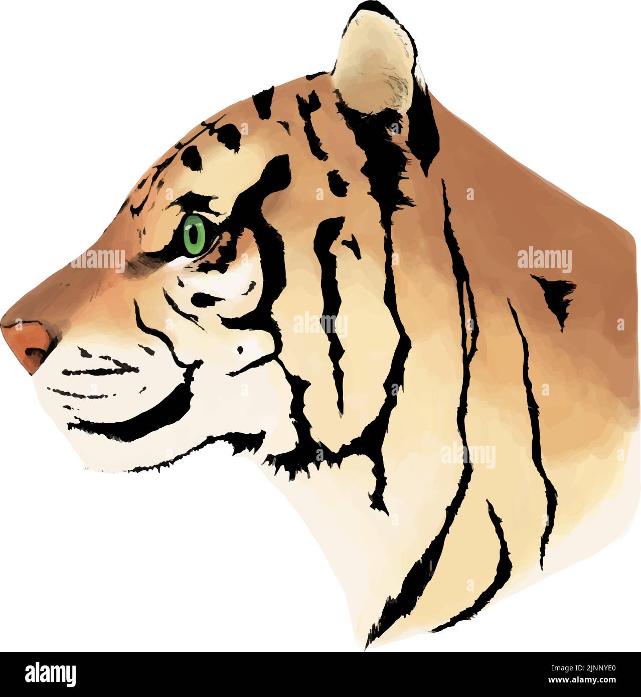 Profil eines Tigers, handbemalter realistischer Touch. Stock Vektor
