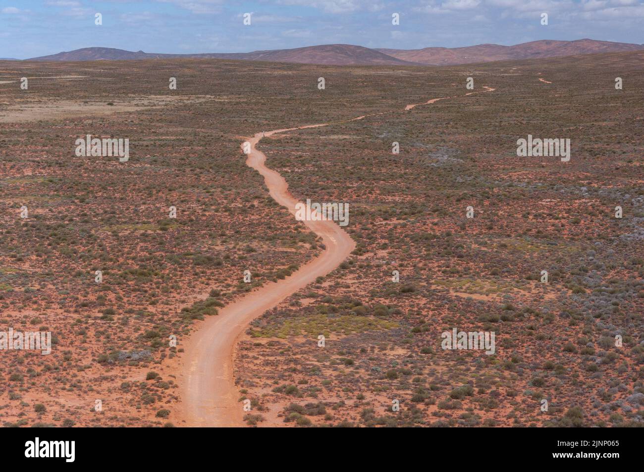 Namaqualand ist eine Dürre Region Namibias und Südafrikas. Stockfoto