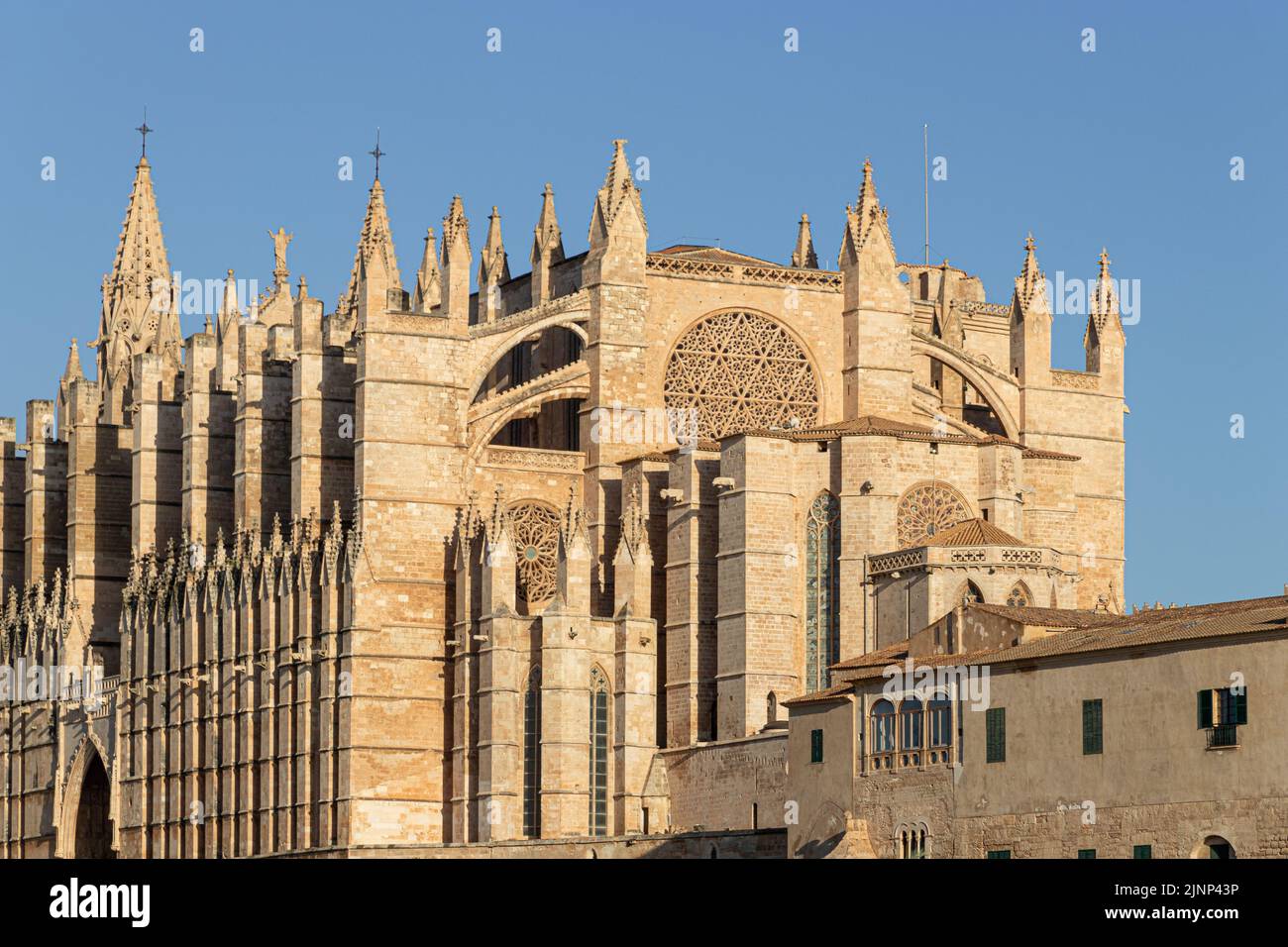 Palma de Mallorca, Spanien. Fassade und Rosenfenster mit dem Namen Ojo del Gotico (gotisches Auge) der Kathedrale Santa Maria Stockfoto