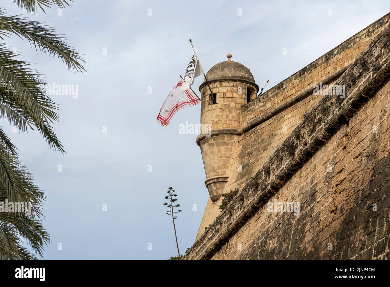 Palma de Mallorca, Spanien. Mauern und Mauern der Baluard de Sant Pere (St. Peter Bastion), eine moderne Kunst und ehemalige Festung Stockfoto