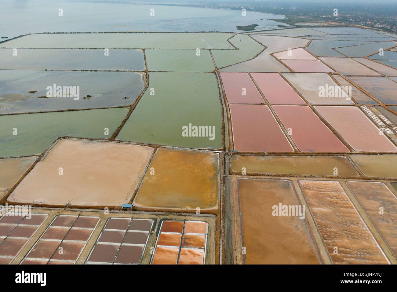 Pools mit Wasser zur Verdunstung, Gewinnung und Herstellung von Salz in Sri Lanka. Stockfoto