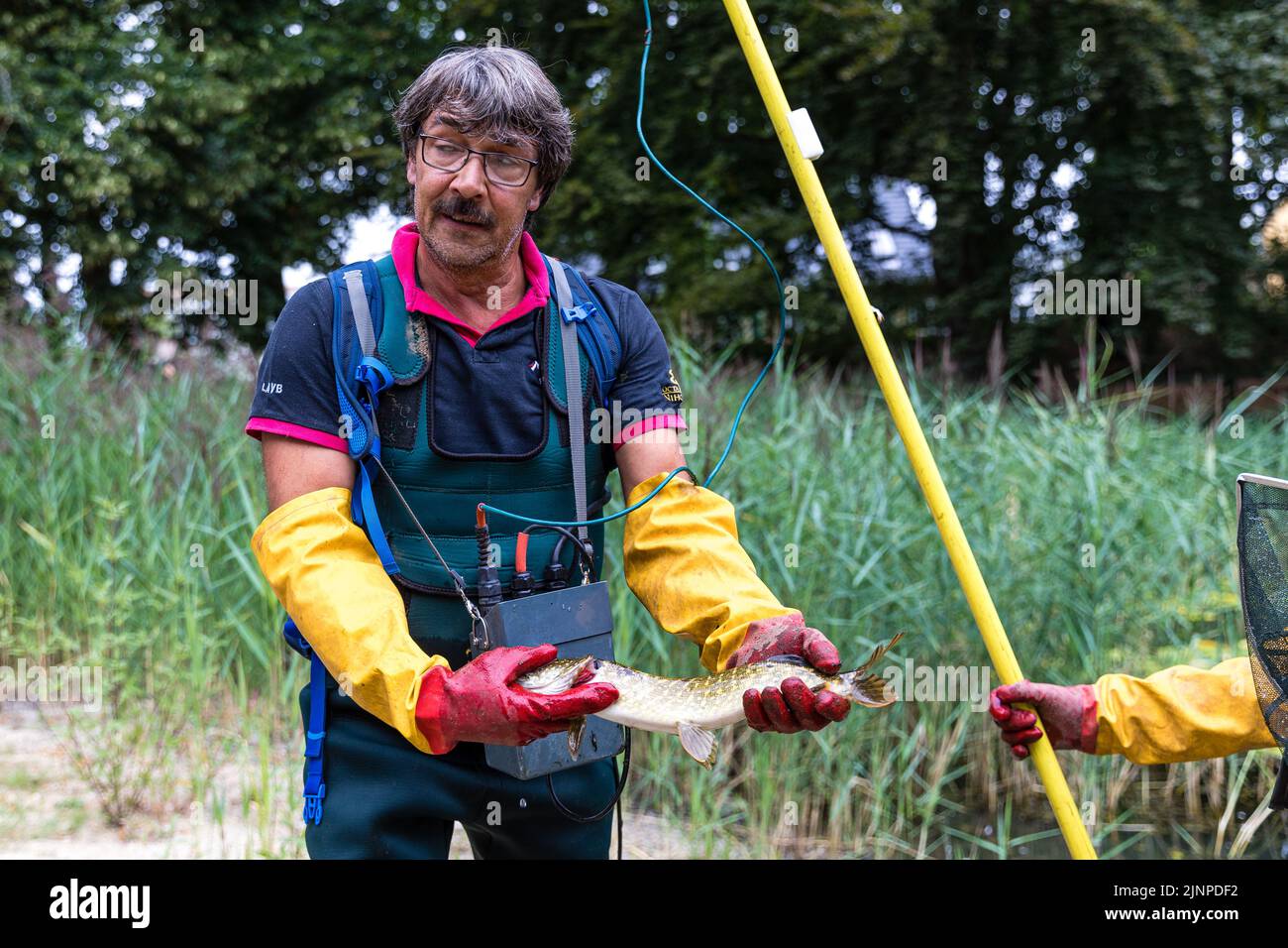Senftenberg, Deutschland. 13. August 2022. Angler Ralf Stephan zeigt