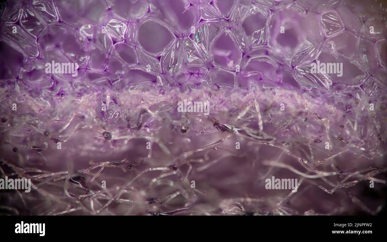 Makrobild eines violetten, syntetischen Haushaltsschwamms. Stockfoto
