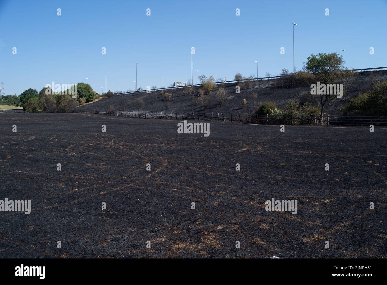 Hedgerley, Buckinghamshire, Großbritannien. 13.. August 2022. Feuerwehrleute des Feuerwehr- und Rettungsdienstes Buckinghamshire waren heute wieder dabei, schwelende Hotspots am Schauplatz eines riesigen Feldfeuers in Hedgerley, Buckinghamshire, zu löschen. Gestern wurden bei einem schweren Brand, der sich auf den Damm von M40 ausbreitete, etwa 25 Hektar Ackerland zerstört. Als der Rauch über die M40 driftete, wurden zwei Spuren der M40 in Richtung Norden zwischen Junction 1A (Kreuzung M25) und Junction 2 (Beaconsfield) geschlossen. Quelle: Maureen McLean/Alamy Live News Stockfoto