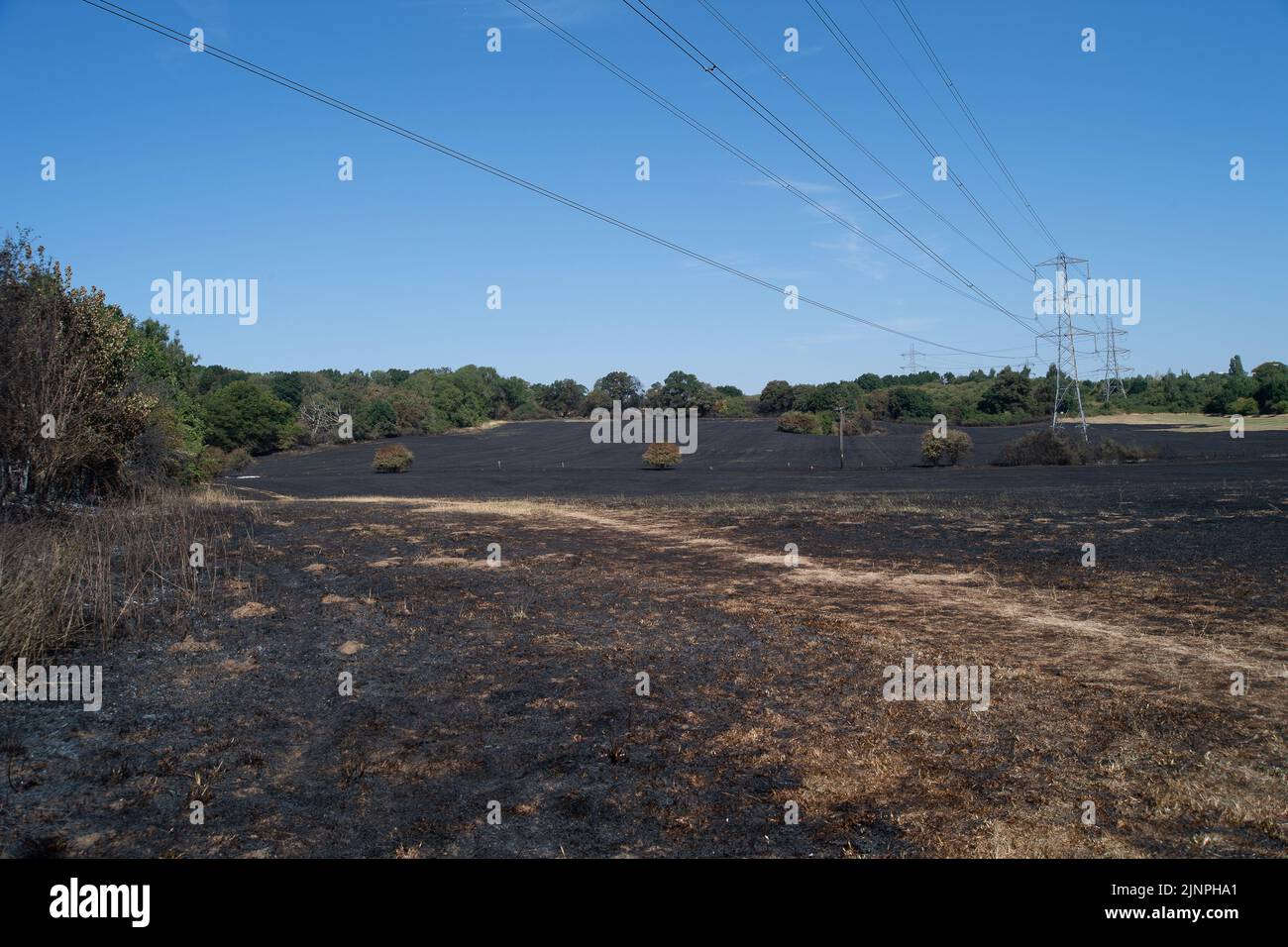 Hedgerley, Buckinghamshire, Großbritannien. 13.. August 2022. Feuerwehrleute des Feuerwehr- und Rettungsdienstes Buckinghamshire waren heute wieder dabei, schwelende Hotspots am Schauplatz eines riesigen Feldfeuers in Hedgerley, Buckinghamshire, zu löschen. Gestern wurden bei einem schweren Brand, der sich auf den Damm von M40 ausbreitete, etwa 25 Hektar Ackerland zerstört. Als der Rauch über die M40 driftete, wurden zwei Spuren der M40 in Richtung Norden zwischen Junction 1A (Kreuzung M25) und Junction 2 (Beaconsfield) geschlossen. Quelle: Maureen McLean/Alamy Live News Stockfoto