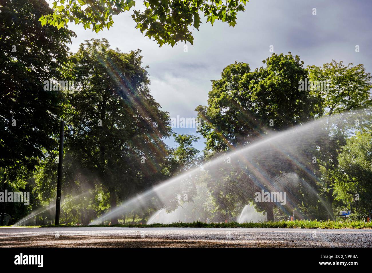 Symbolisches Foto zum Thema Bewässerung öffentlicher Grünflächen. Pechsprenger bewässert den Monbijoupark in Berlin mitte. Berlin, Den 31. Mai 2022 Stockfoto