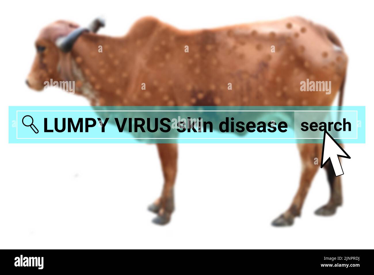 Klumpige Virus Suche auf verschwommen infizierten Hand. Illustration für das Bewusstsein über klumpige Virus-Krankheit. Stockfoto